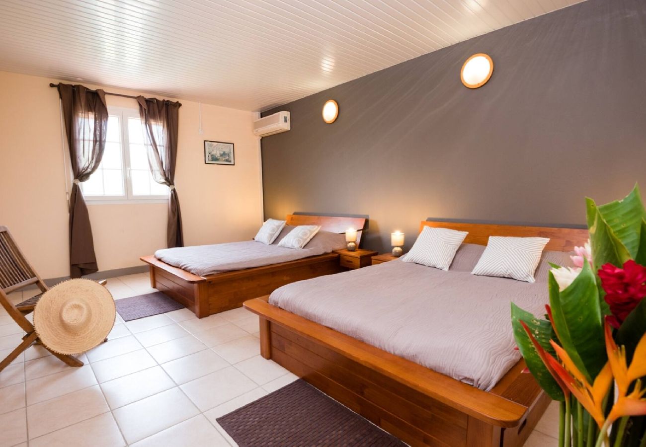Villa à Sainte-Anne - Villa à Sainte Anne M041C 3 chambres avec piscine