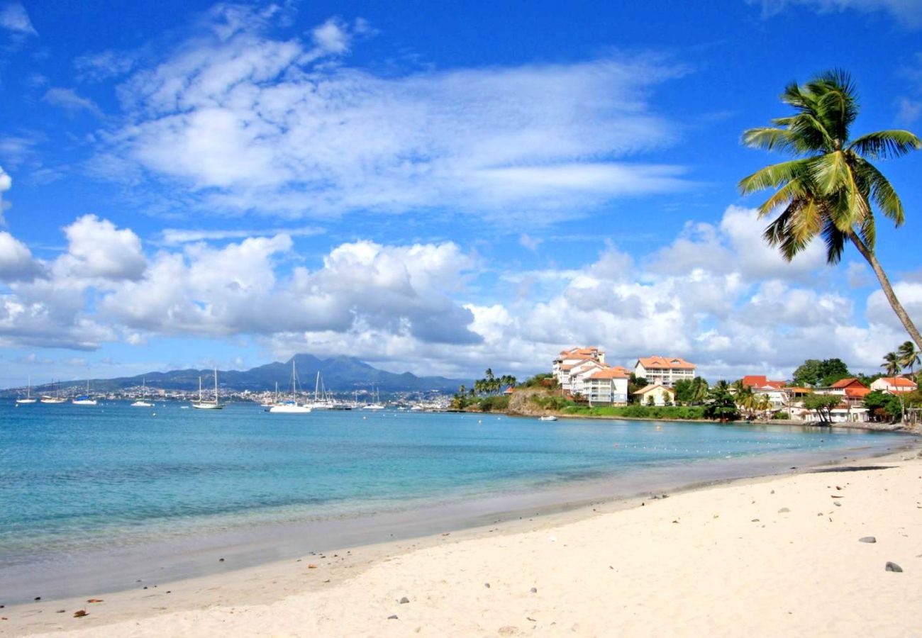 Appartement à Les Trois-Ilets - 543091 - T3 Bleu Lagoon, vue mer, plage