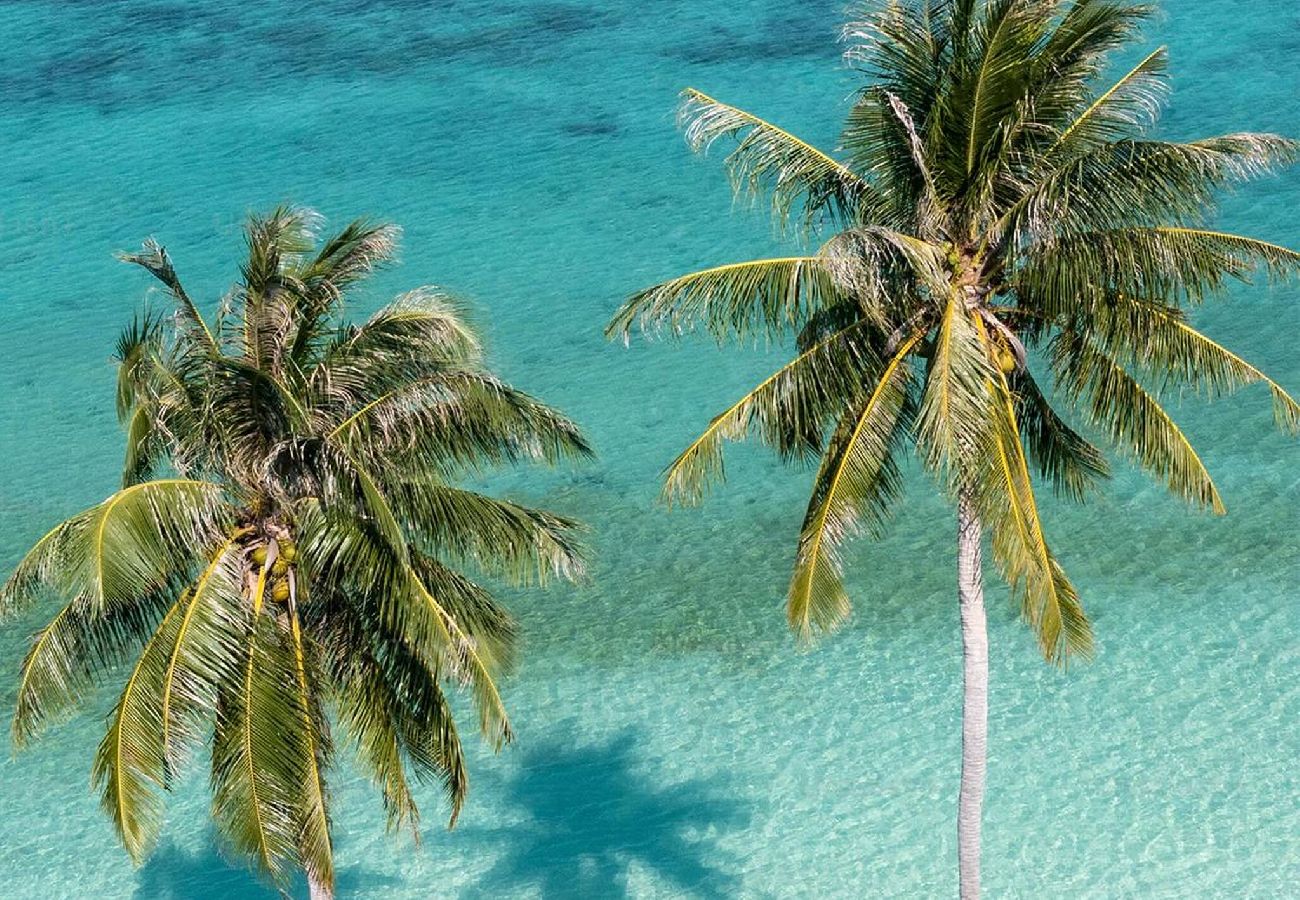 Appartement à Les Trois-Ilets - Beau T2 Tropicana, plage a 50m