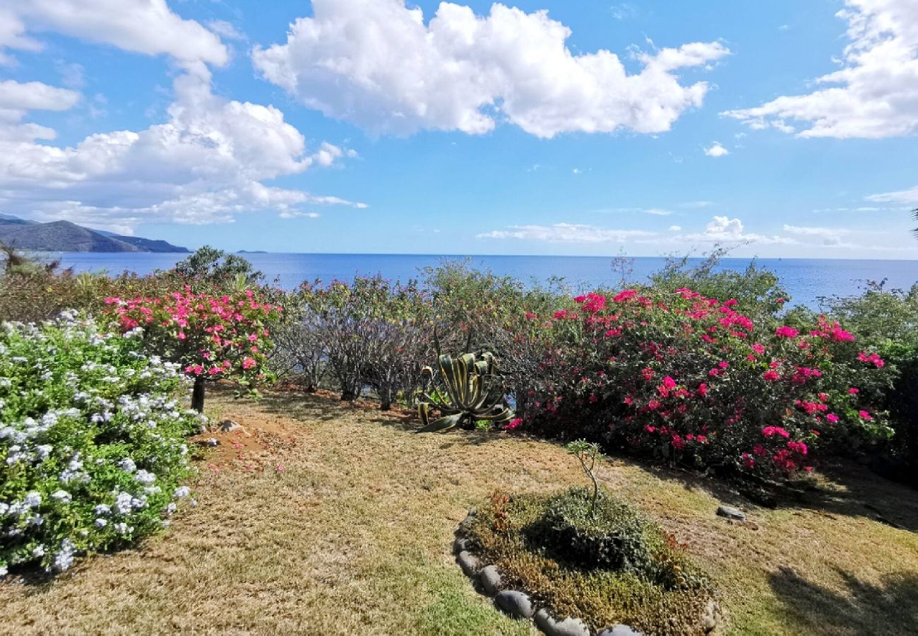 Villa à Pointe-Noire - Villa à Pointe Noire G187D vue mer 12 pers piscine