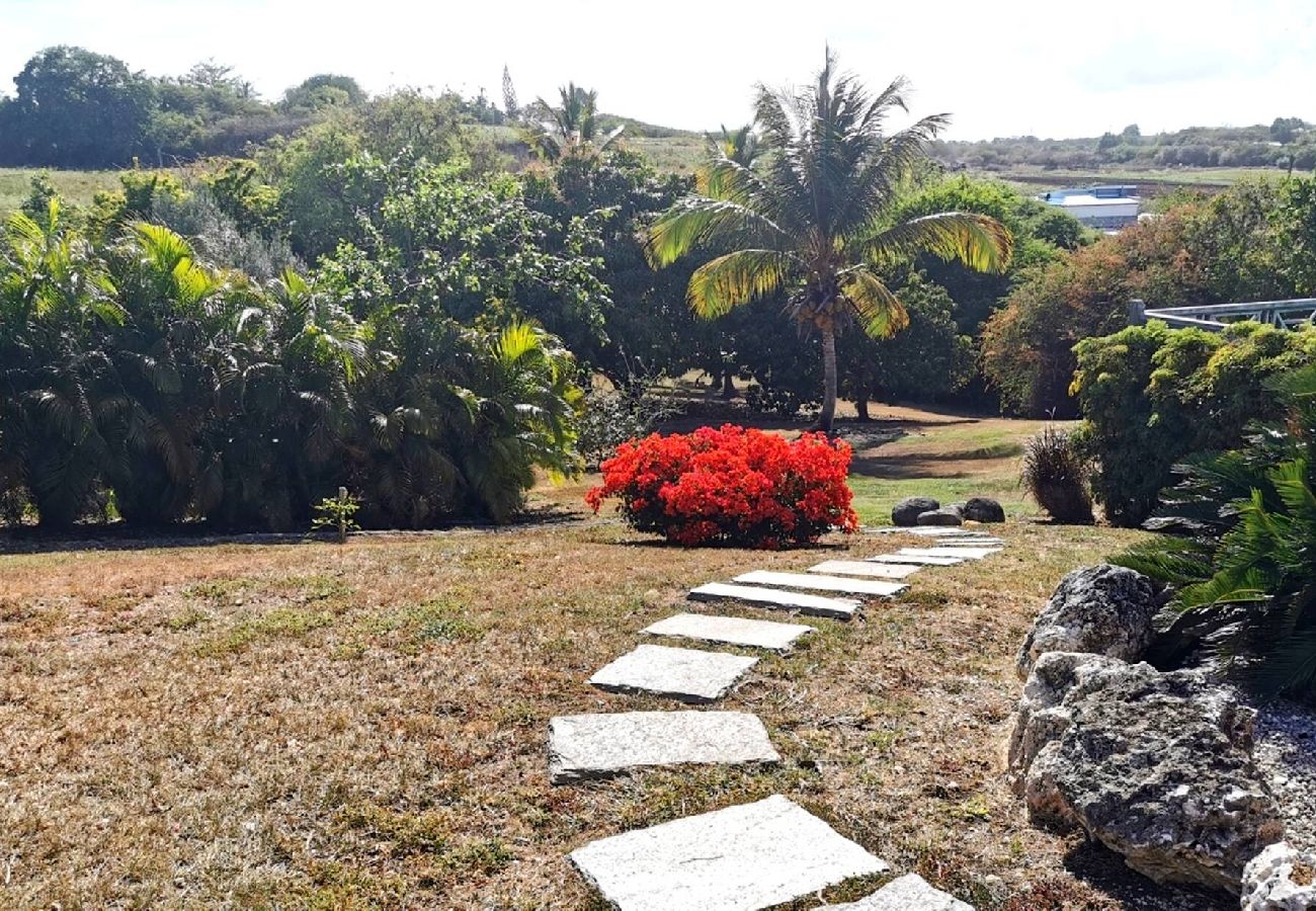 Villa à Saint-François - Villa à Saint François G150 4 ch piscine privée