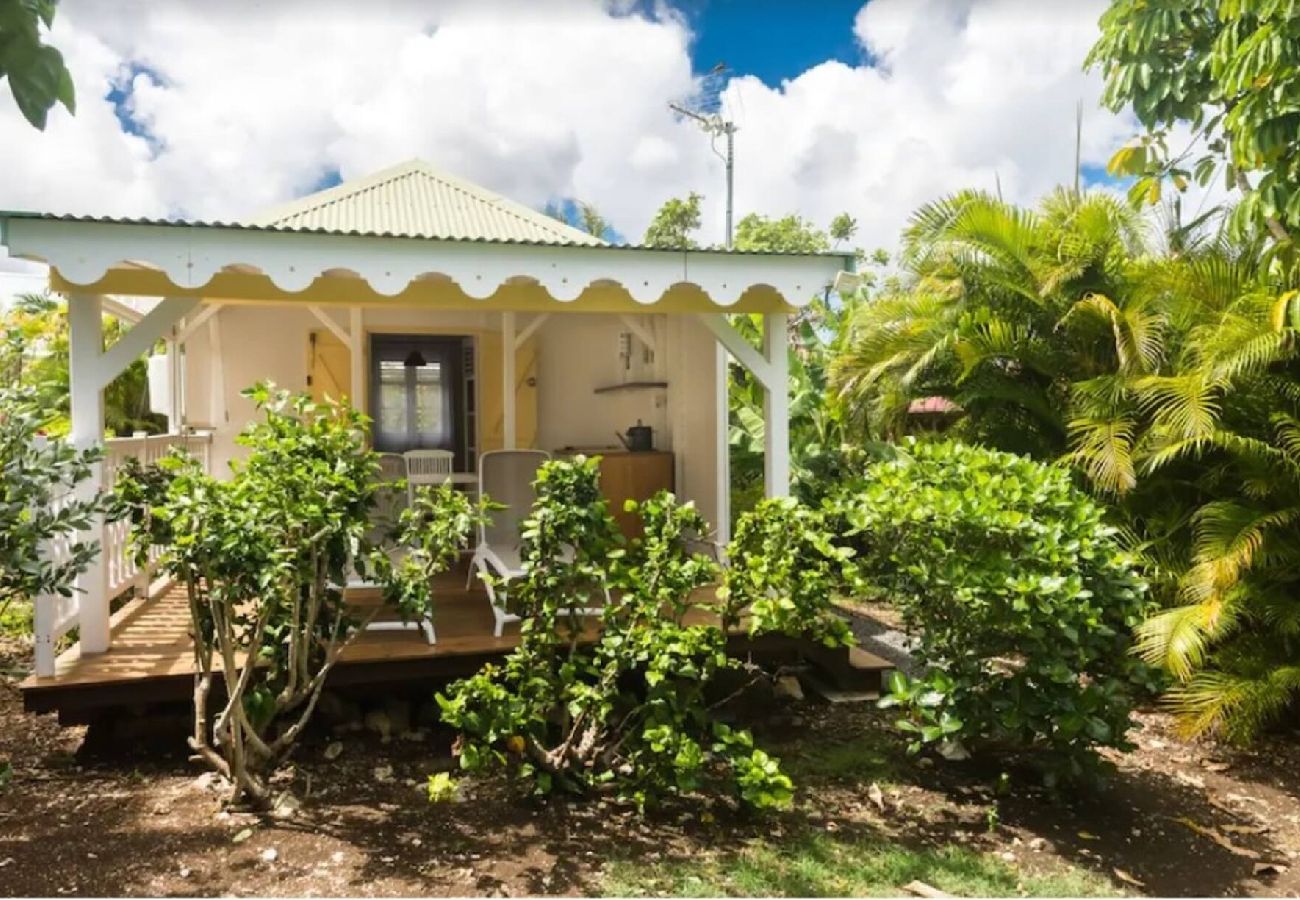 Villa à Sainte-Anne - Villa à Sainte Anne G166B 5 ch 12 pers piscine vue