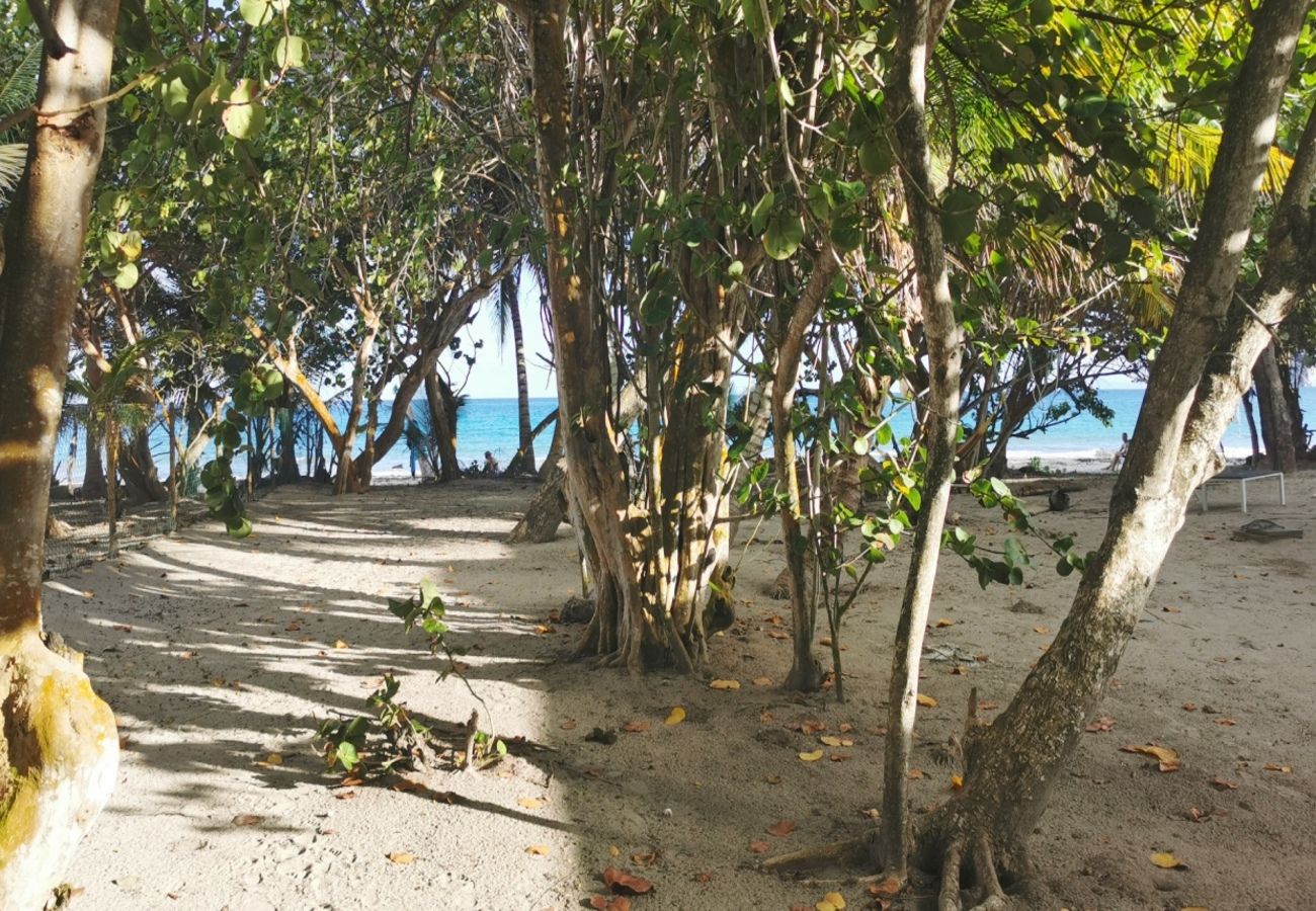 Villa à Le Diamant - Villa au Diamant en Martinique - Ref : M150