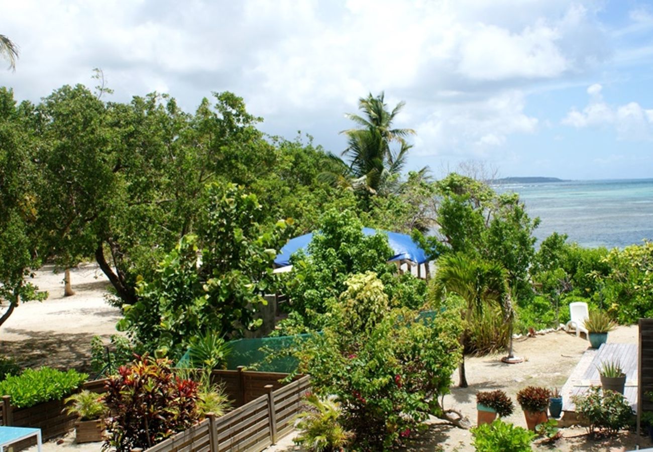 Appartement à Sainte-Anne - Résidence à Ste Anne Guadeloupe - Ref : HG024