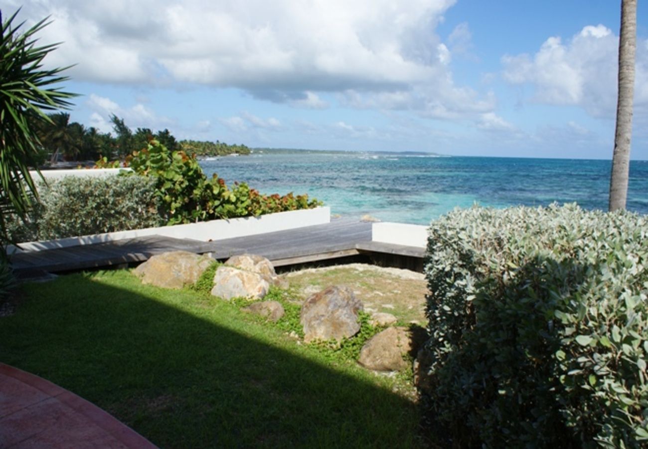 Appartement à Sainte-Anne - Appartement à Ste Anne Guadeloupe - Ref : HG096