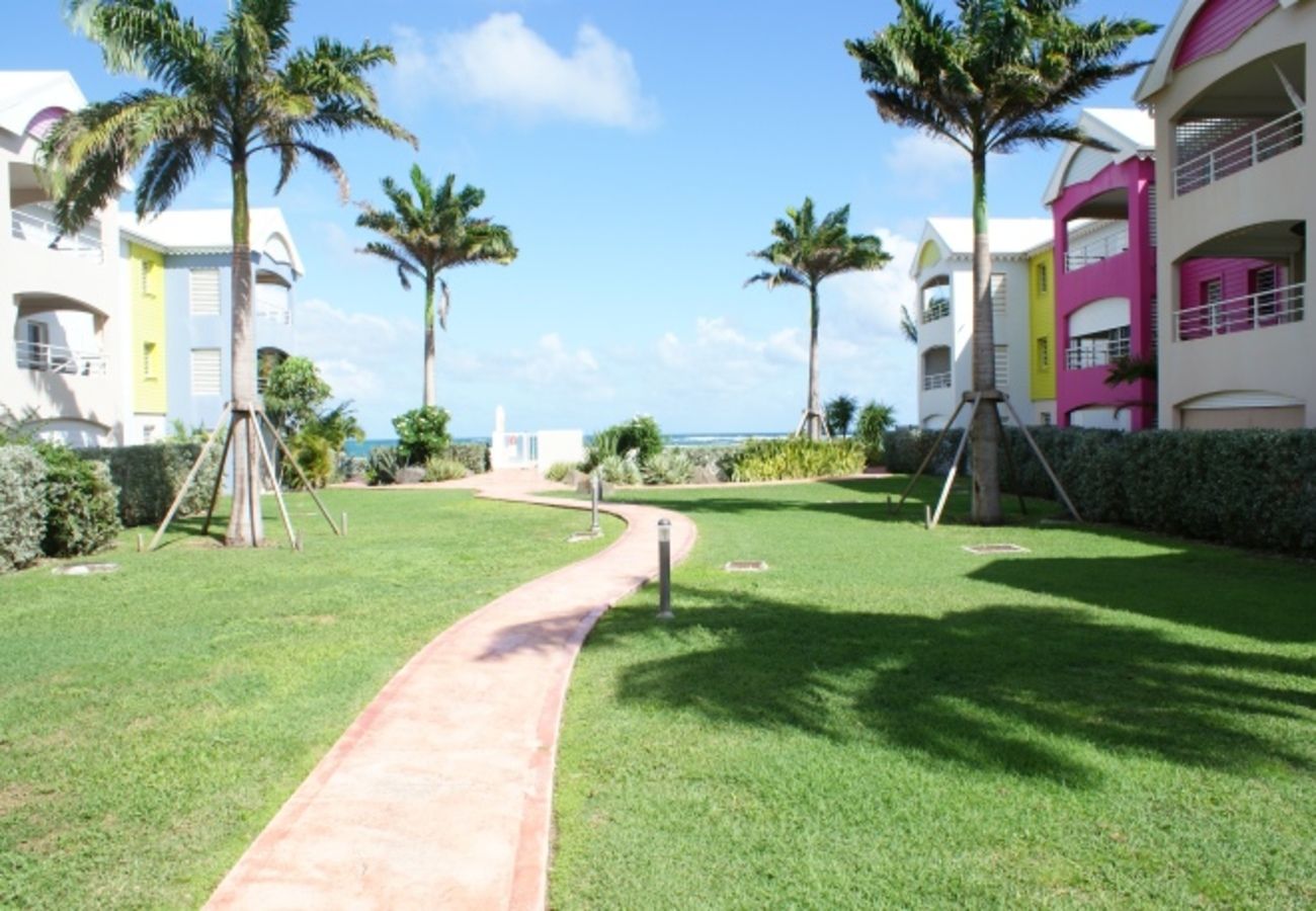 Appartement à Sainte-Anne - Appartement à Ste Anne Guadeloupe - Ref : HG096
