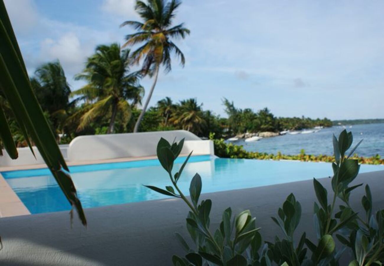 Appartement à Sainte-Anne - Appartement à Ste Anne Guadeloupe - Ref : HG096