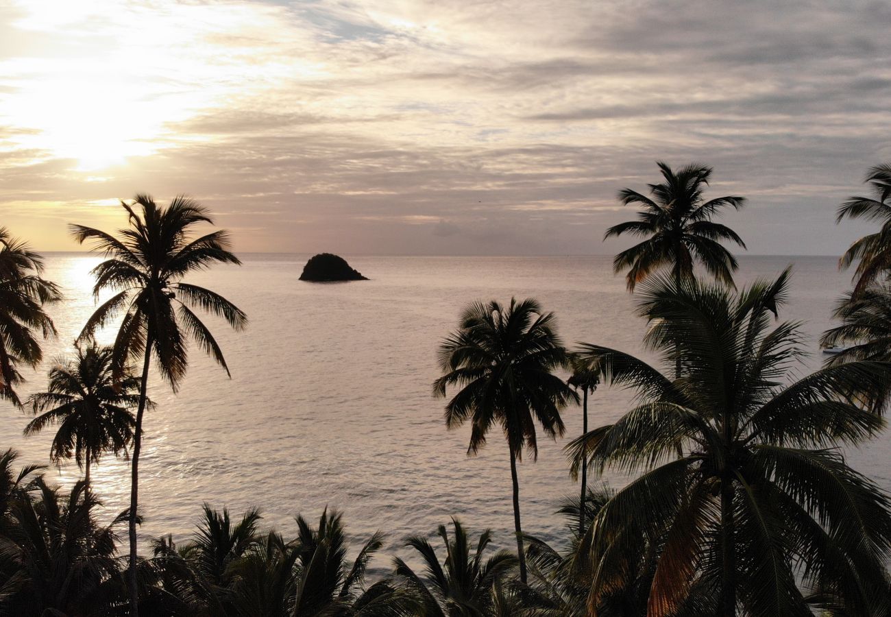 Appartement à Les Trois-Ilets - T2 grande terrasse Domaine de l'Anse Mitan - HM102