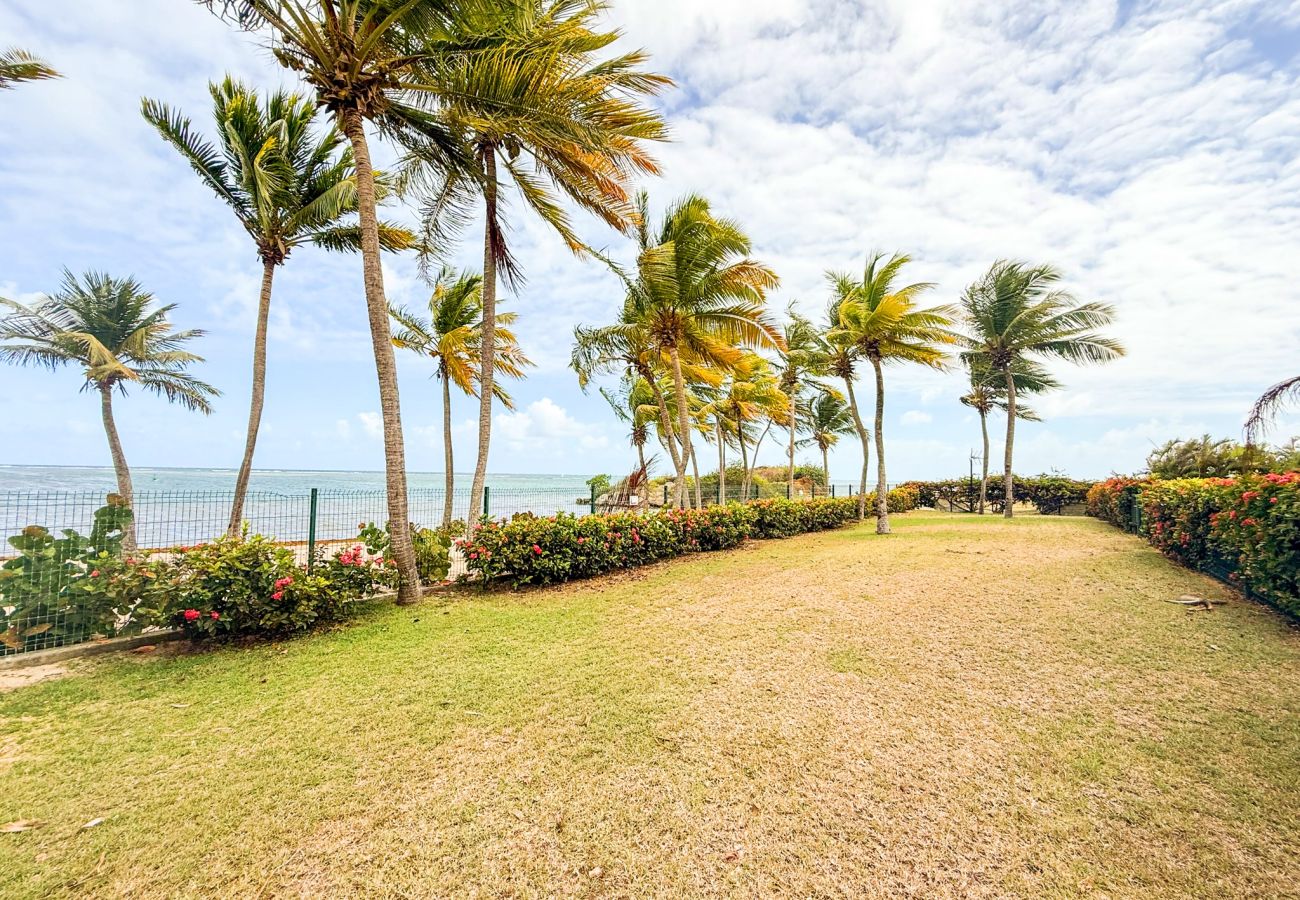 Appartement à Saint-François - T3 Savannah à Saint François ref GEA004