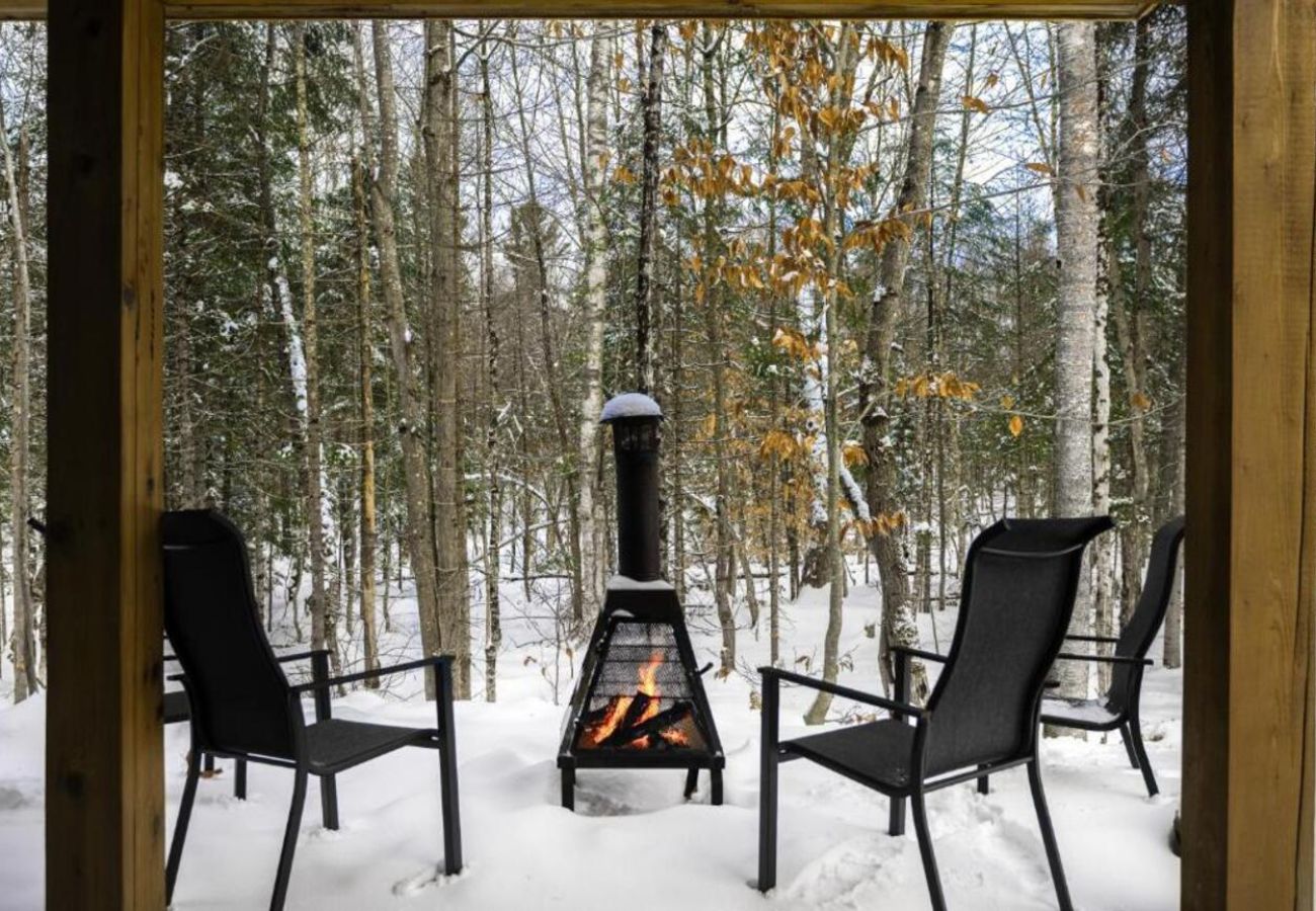 Maison à Montreal - CAN020 : Le 4 sur le lac