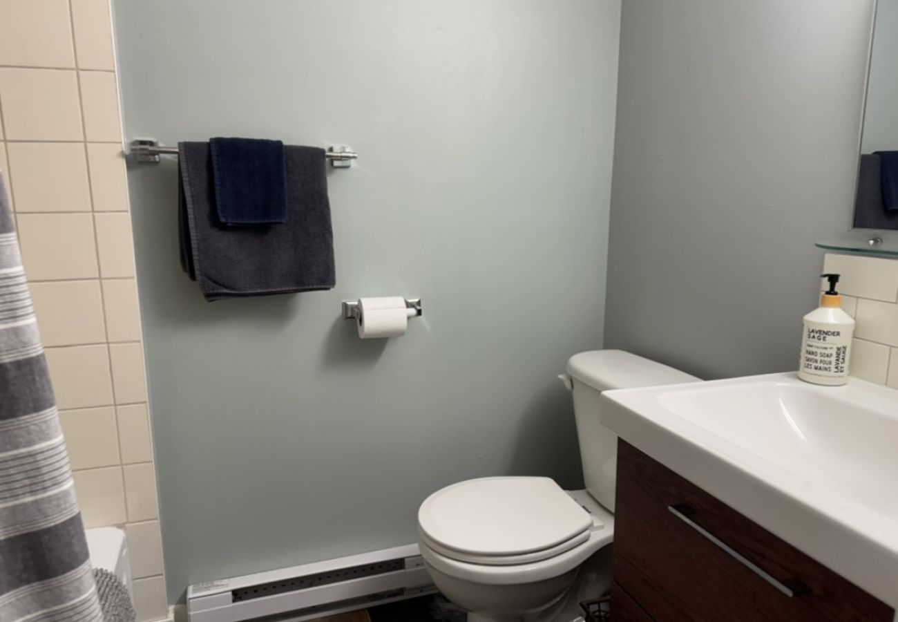 Appartement à L'Assomption - CAN024 : L'Obleu