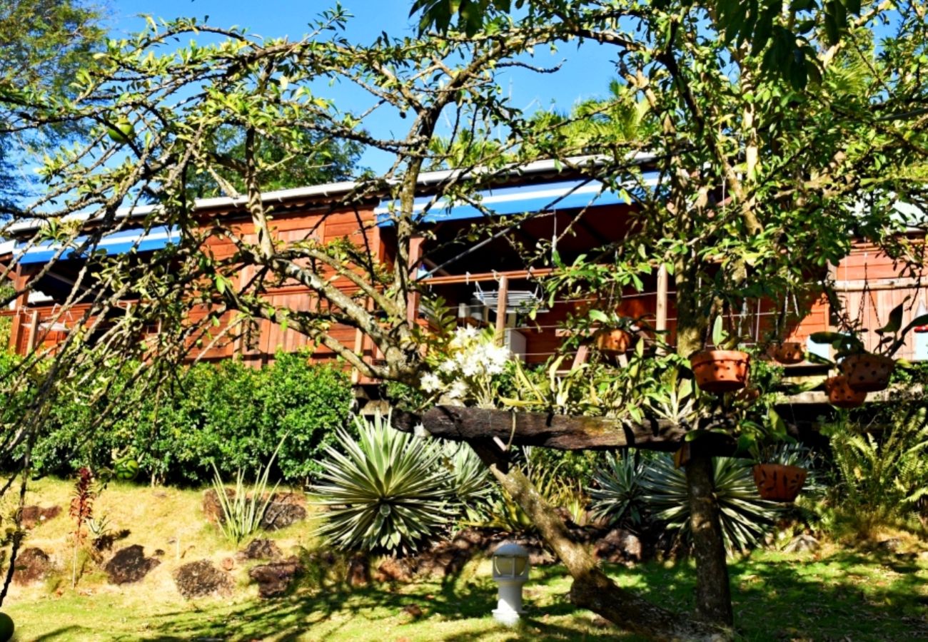 Bungalow à Deshaies - Gite Bleu Outremer 1 à Deshaies ref GEA005