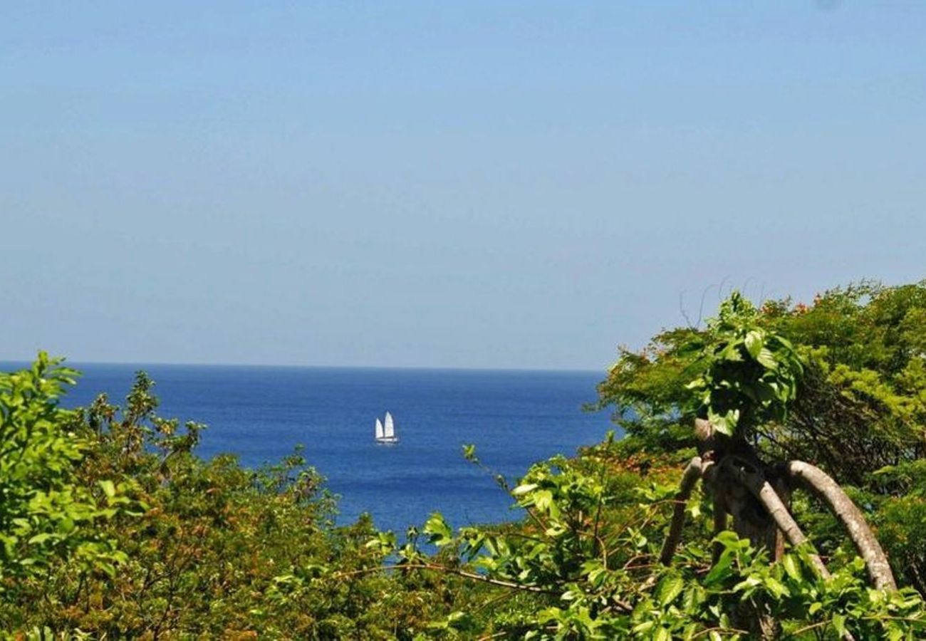 Bungalow à Deshaies - Gite Bleu Outremer 2 à Deshaies ref GEA006